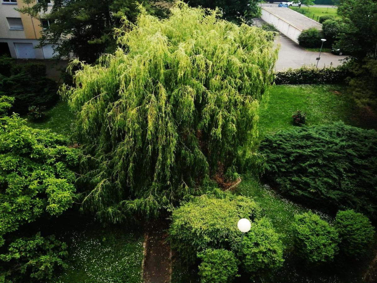P' Ti Ecrin De Verdure Illzach Exteriör bild